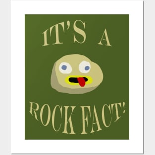 A Rock Fact Posters and Art